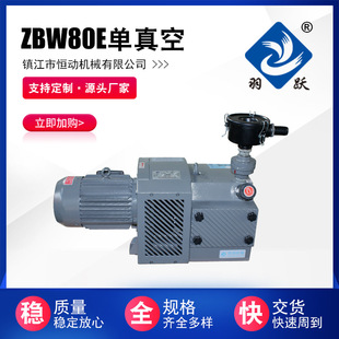 ZBW80E單吸真空氣泵
